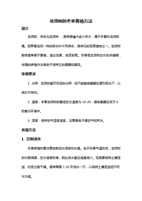 龙须树的冬季养殖方法