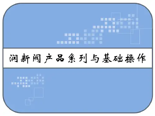 润新阀产品系列与基础操作 PPT
