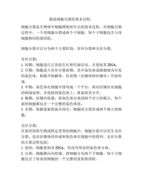 描述细胞分裂的基本过程。