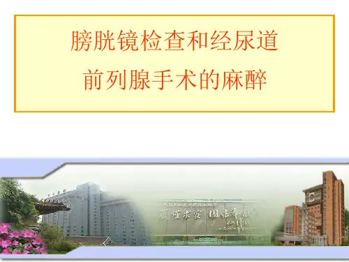 膀胱镜检查和经尿道前列腺手术的麻醉 PPT精品课件