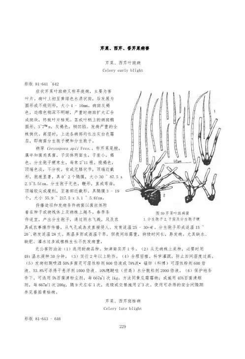 芹菜病害详解