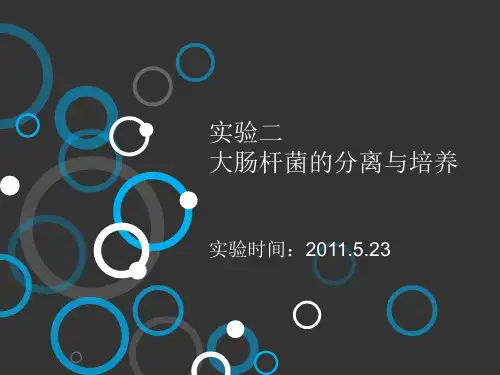 生物实验：大肠杆菌的分离与培养