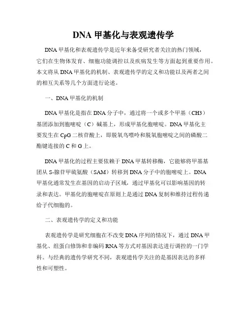 DNA甲基化与表观遗传学