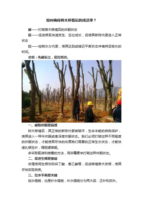 如何确保树木移载后的成活率？