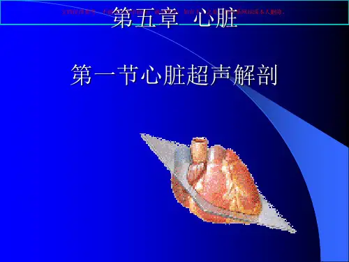 心脏超声讲义培训课件