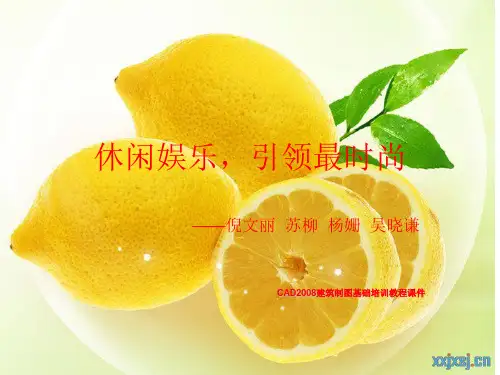 CAD2008建筑制图基础培训教程课件