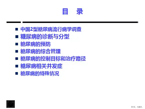 中国2型糖尿病防治指南-全