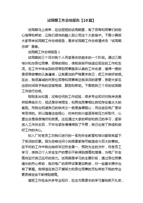 试用期工作总结报告【10篇】