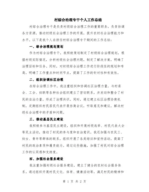 村综合治理专干个人工作总结