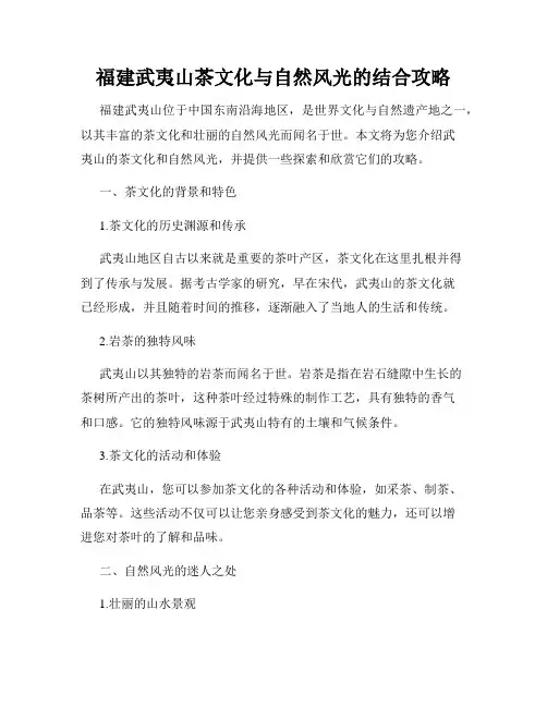 福建武夷山茶文化与自然风光的结合攻略