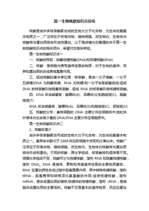 高一生物核酸知识点总结