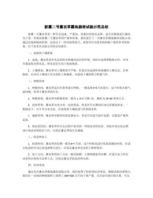 新薰二号薰衣草露地栽培试验示范总结