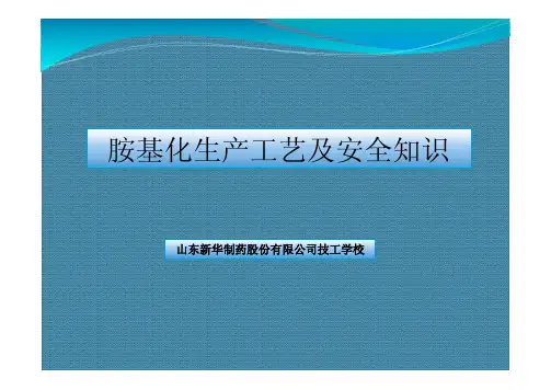 胺基化工艺