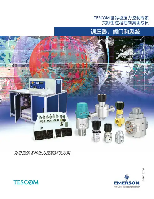 TESCOM中文样本