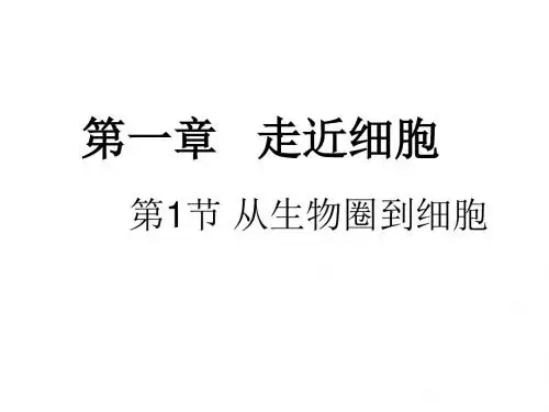 第一节走近细胞