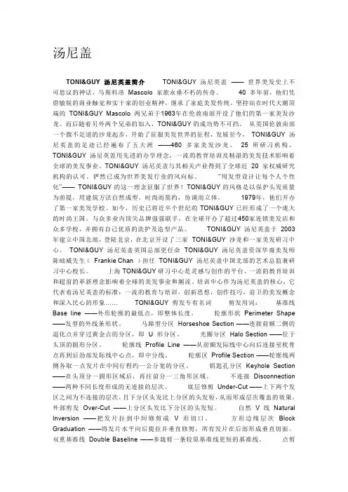 汤尼盖