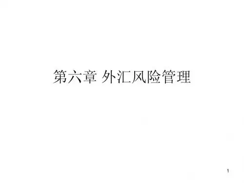 《国际金融》6第六章 外汇风险管
