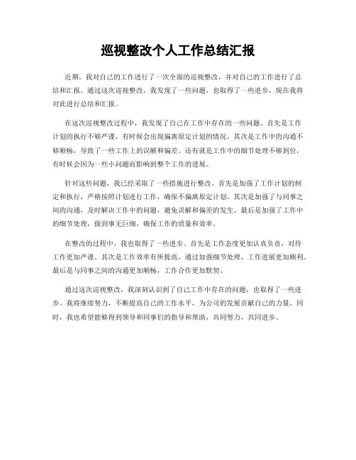 巡视整改个人工作总结汇报