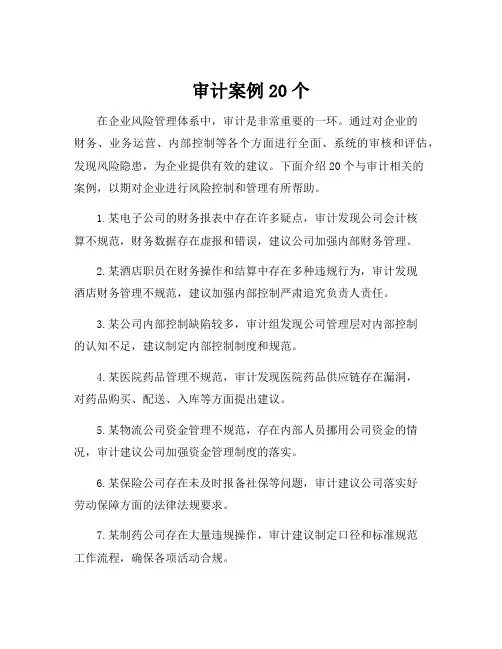 审计案例20个