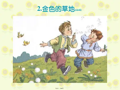 2、金色的草地PPT精品课件(共45张)