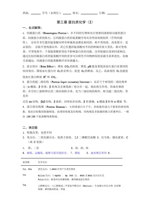 蛋白质2答案