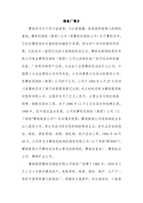 炼铁厂简介-攀钢集团