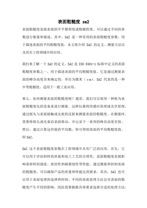 表面粗糙度 sa2