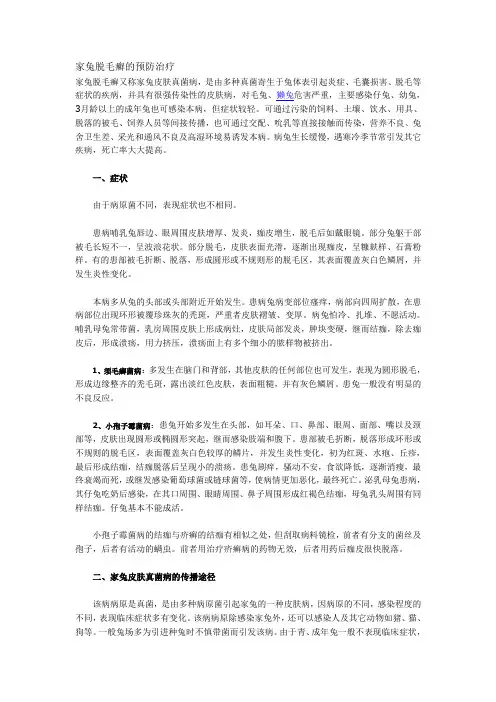 家兔脱毛癣的预防治疗