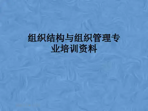 组织结构与组织管理专业培训资料
