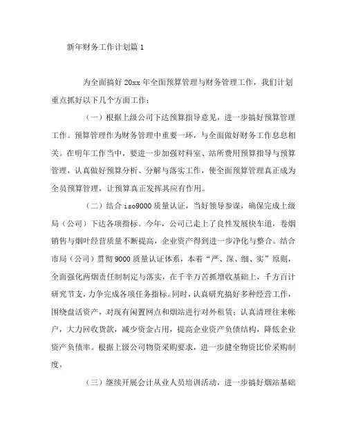 新年财务工作计划6篇