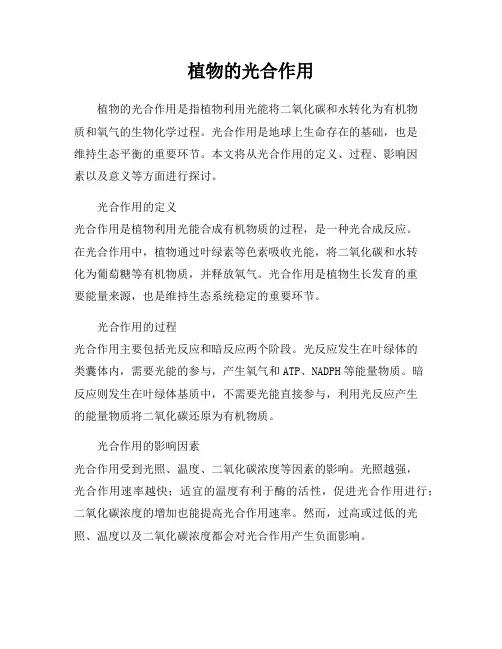 植物的光合作用