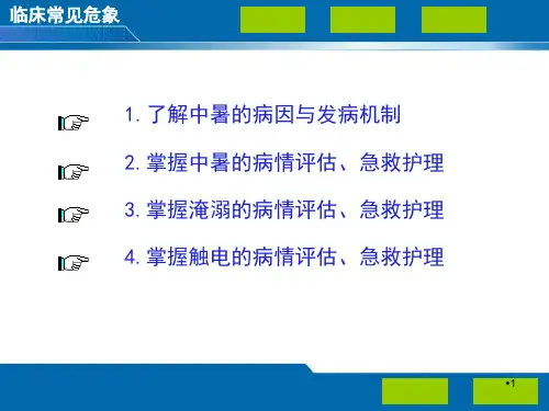 中暑淹溺触电PPT演示文稿