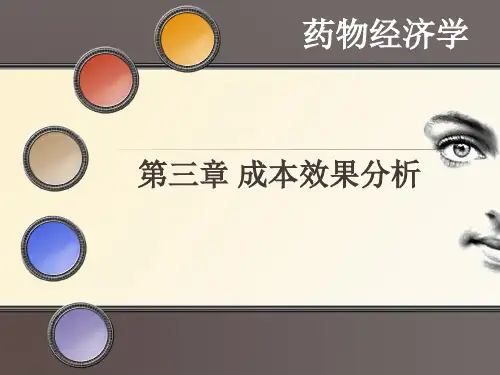 第三章成本效果分析报告