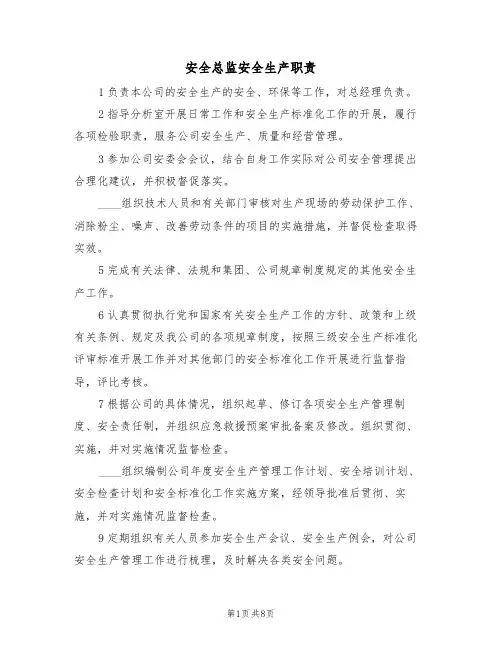 安全总监安全生产职责(5篇)