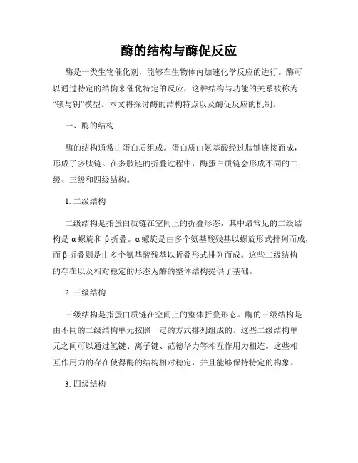 酶的结构与酶促反应