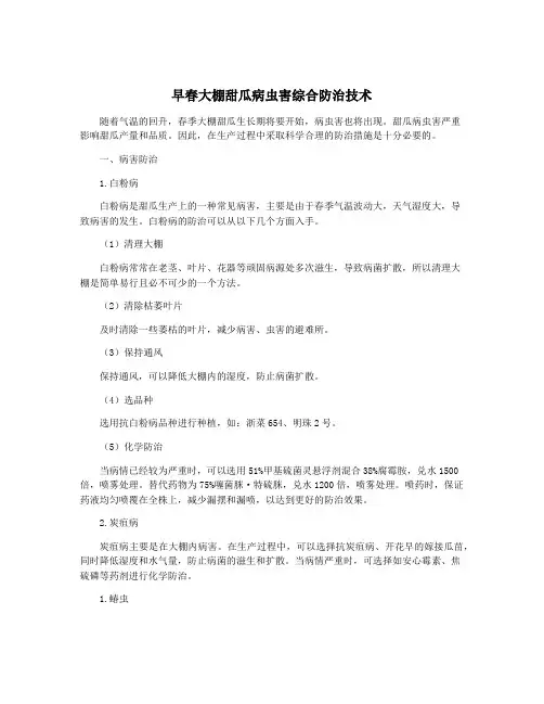 早春大棚甜瓜病虫害综合防治技术