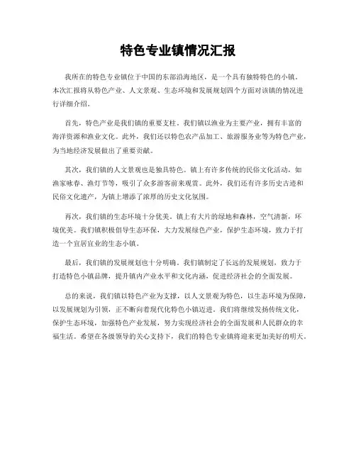 特色专业镇情况汇报