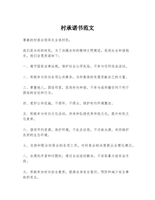 村承诺书范文