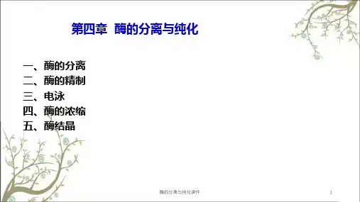 酶的分离与纯化课件