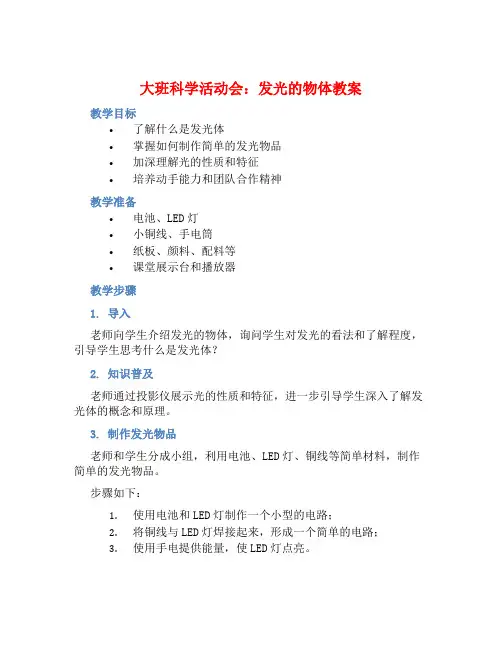 大班科学活动会发光的物体教案【含教学反思】 (2)