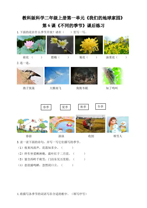教科版小学科学二年级上册1.6《不同的季节》课后练习
