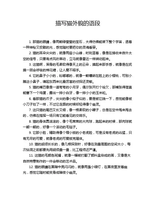 描写猫外貌的语段