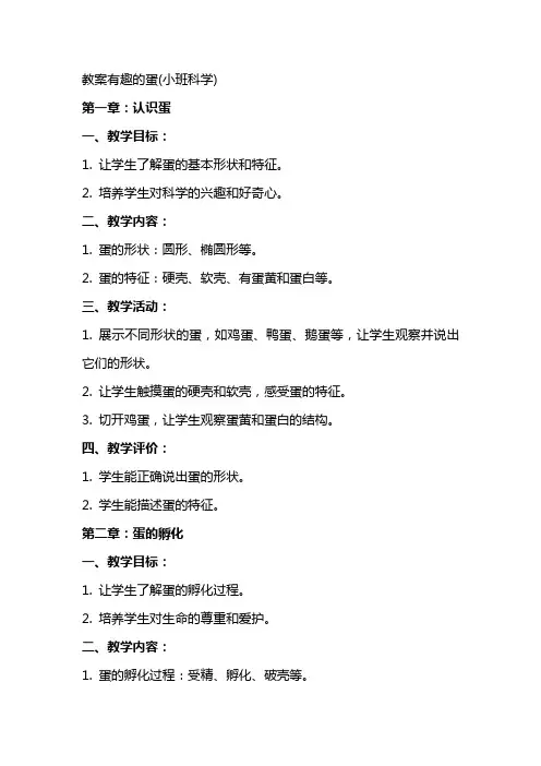 教案有趣的蛋(小班科学)