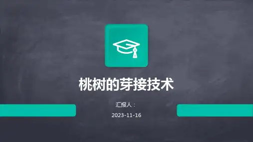 桃树的芽接技术