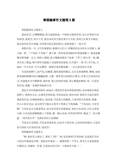 寒假趣事作文随笔5篇