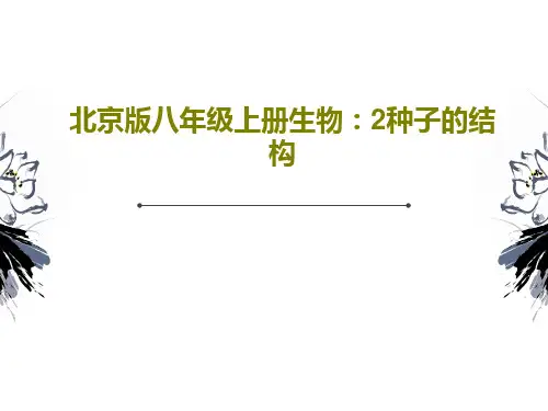 北京版八年级上册生物：2种子的结构15页PPT