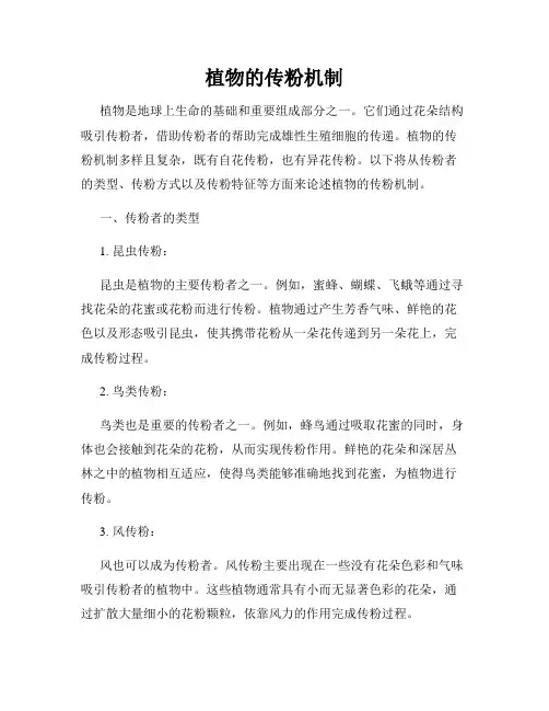 植物的传粉机制