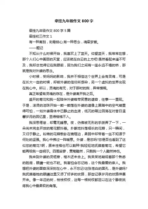 牵挂九年级作文800字