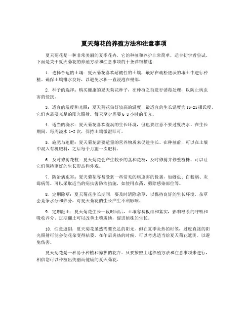 夏天菊花的养殖方法和注意事项