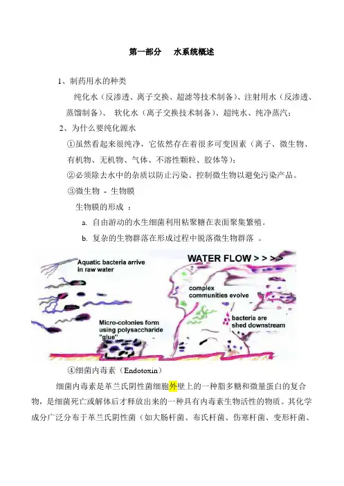 水系统培训(制药用)